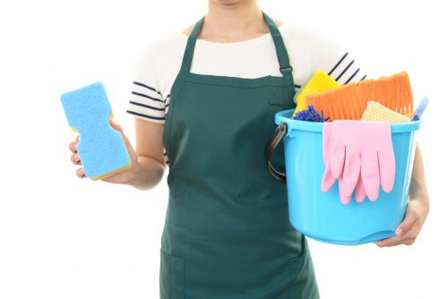 Mattress cleaning process in a bedroom