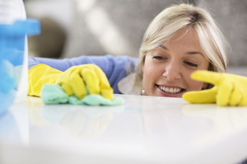 Professional mattress cleaning treatment in progress