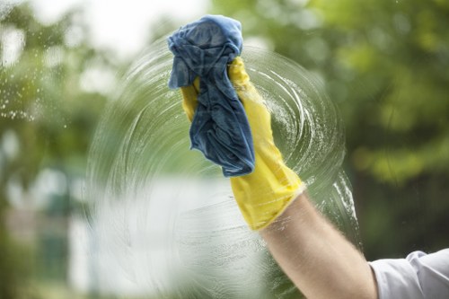 Kitchen and household stain removal essentials